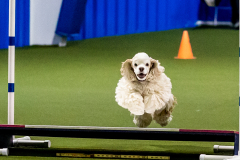 2023-June-AADTC-Trial-633