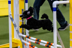 2023-June-AADTC-Trial-646