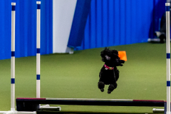 2023-June-AADTC-Trial-650