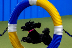 2023-June-AADTC-Trial-651