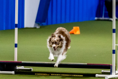 2023-June-AADTC-Trial-657