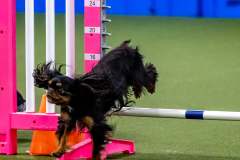 2023-June-AADTC-Trial-658