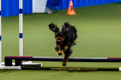 2023-June-AADTC-Trial-663