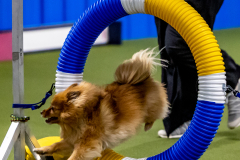 2023-June-AADTC-Trial-670