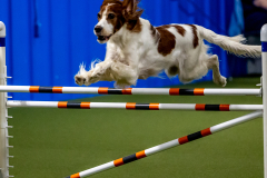 2023-June-AADTC-Trial-671