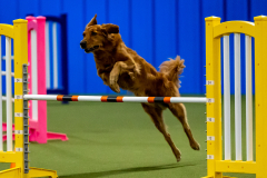 2023-June-AADTC-Trial-678