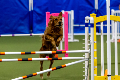 2023-June-AADTC-Trial-680