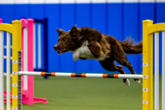 2023-June-AADTC-Trial-681