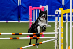 2023-June-AADTC-Trial-694