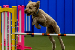 2023-June-AADTC-Trial-698