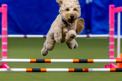 2023-June-AADTC-Trial-699