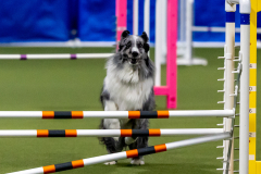 2023-June-AADTC-Trial-703