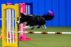 2023-June-AADTC-Trial-704