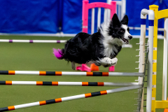 2023-June-AADTC-Trial-706