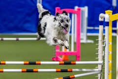 2023-June-AADTC-Trial-715