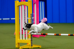 2023-June-AADTC-Trial-721