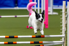 2023-June-AADTC-Trial-722