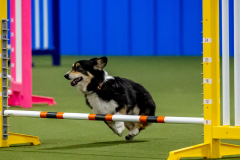 2023-June-AADTC-Trial-723