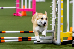 2023-June-AADTC-Trial-725