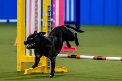 2023-June-AADTC-Trial-726