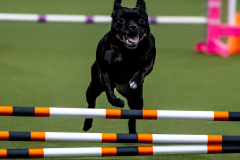 2023-June-AADTC-Trial-727