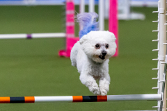 2023-June-AADTC-Trial-729