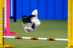 2023-June-AADTC-Trial-730