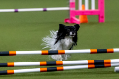 2023-June-AADTC-Trial-731