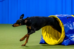 2023-June-AADTC-Trial-732