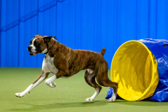 2023-June-AADTC-Trial-733