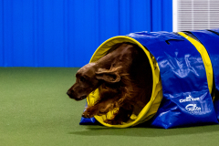 2023-June-AADTC-Trial-735