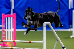 2023-June-AADTC-Trial-742