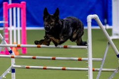 2023-June-AADTC-Trial-744