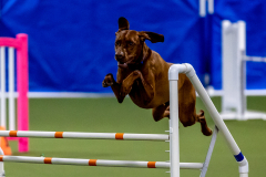 2023-June-AADTC-Trial-746