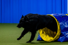 2023-June-AADTC-Trial-749