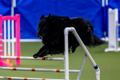 2023-June-AADTC-Trial-751