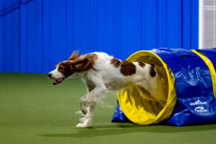 2023-June-AADTC-Trial-752