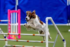 2023-June-AADTC-Trial-754