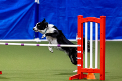 2023-June-AADTC-Trial-759