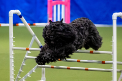 2023-June-AADTC-Trial-762