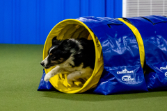 2023-June-AADTC-Trial-769