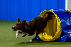 2023-June-AADTC-Trial-775