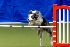 2023-June-AADTC-Trial-779