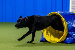 2023-June-AADTC-Trial-789