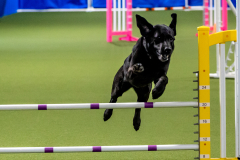 2023-June-AADTC-Trial-791