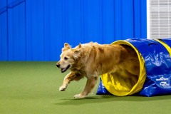 2023-June-AADTC-Trial-796