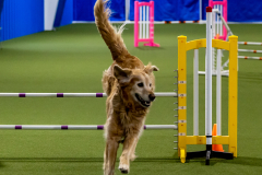 2023-June-AADTC-Trial-798