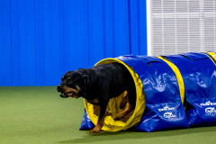 2023-June-AADTC-Trial-799