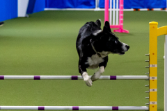 2023-June-AADTC-Trial-818