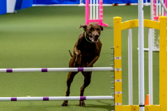 2023-June-AADTC-Trial-824